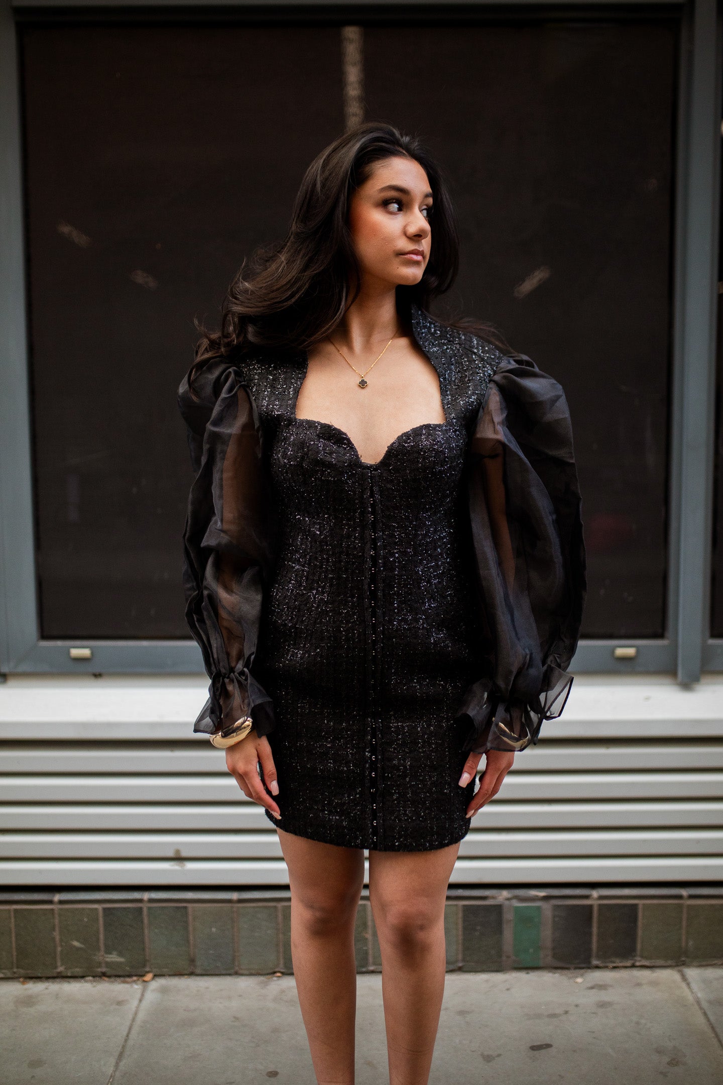 Jheez Noir Elegance Sheer Sleeve Dress