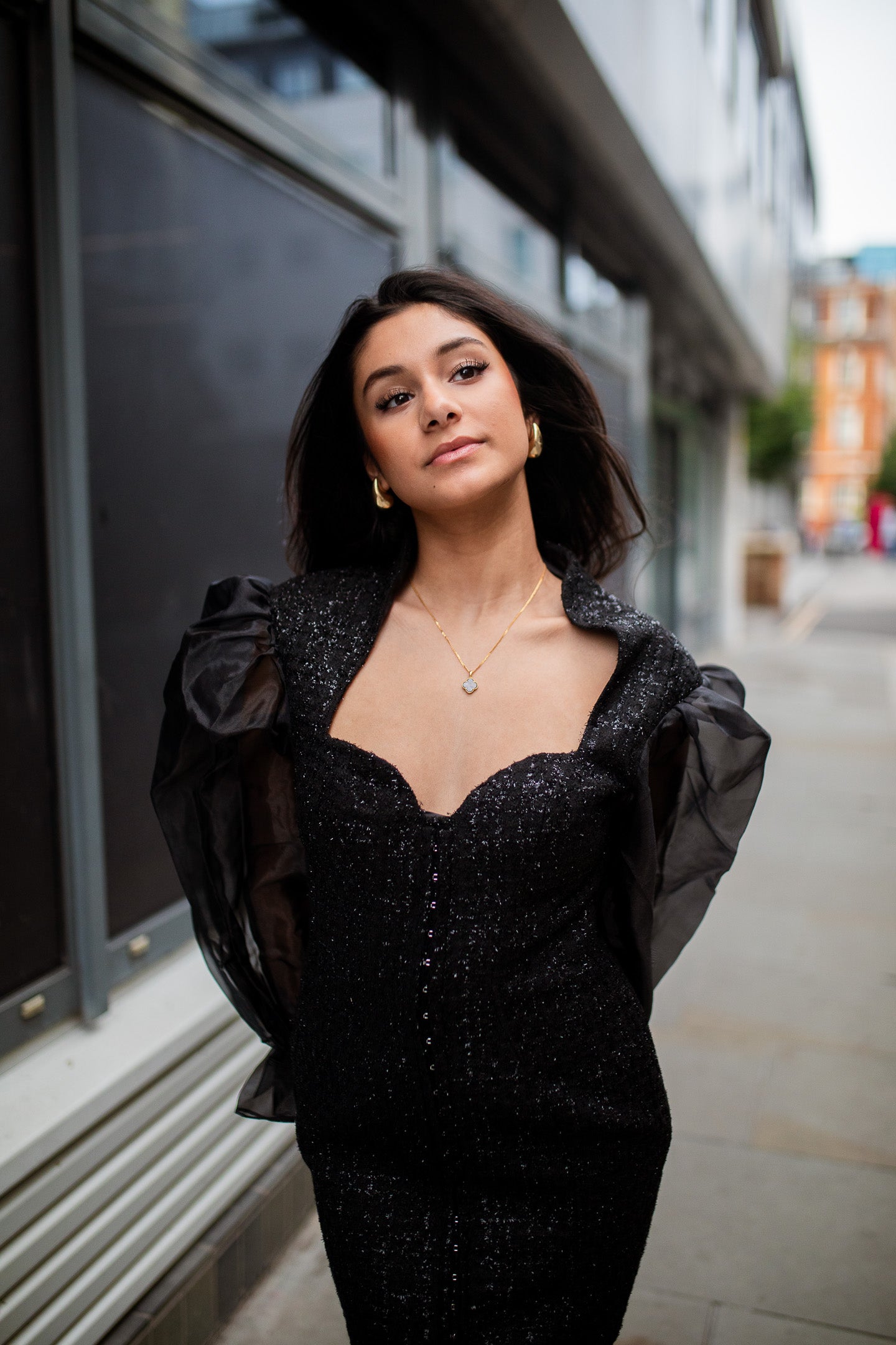 Jheez Noir Elegance Sheer Sleeve Dress